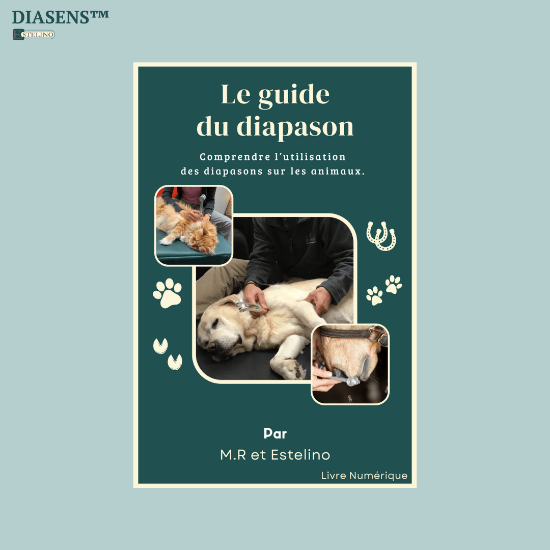 DiaSens™ | Soin Par Vibrations Pour Animaux